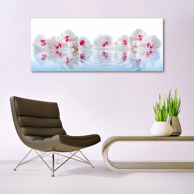 Schilderij op acrylglas Bloemen plant nature art