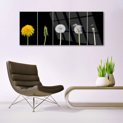Schilderij op acrylglas Paardebloem plant
