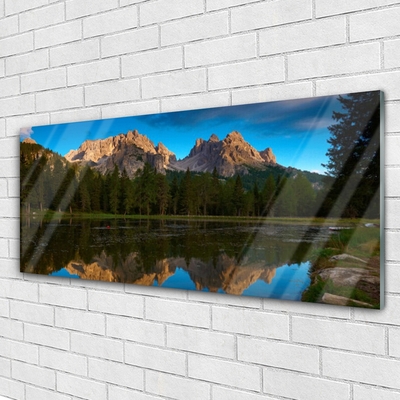 Schilderij op acrylglas Forest lake landscape
