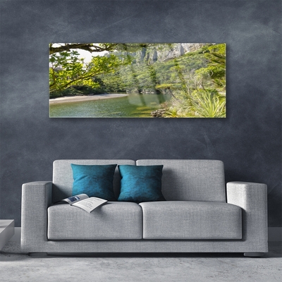 Schilderij op acrylglas Lake nature