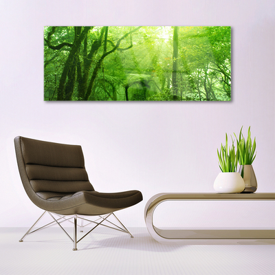 Schilderij op acrylglas Bomen natuur