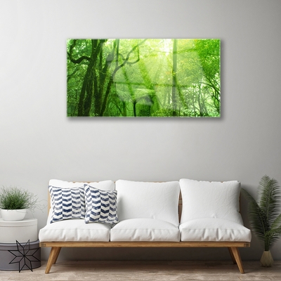 Schilderij op acrylglas Bomen natuur