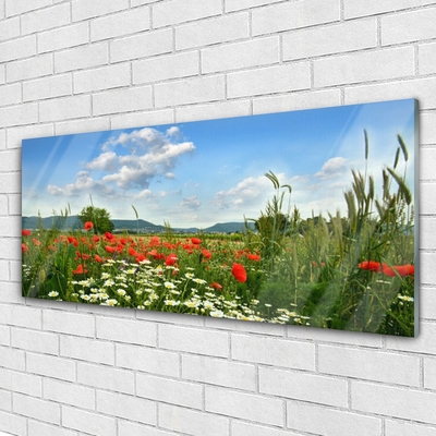 Schilderij op acrylglas Weide bloemen nature plant
