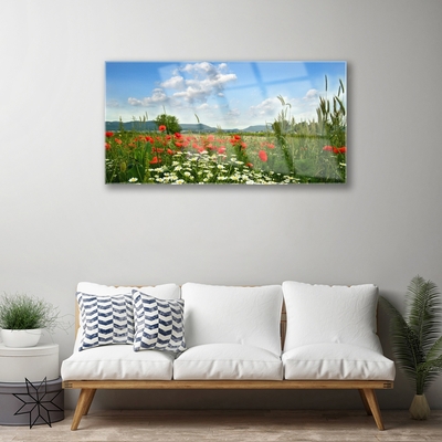 Schilderij op acrylglas Weide bloemen nature plant