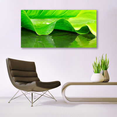 Schilderij op acrylglas Plant blad nature