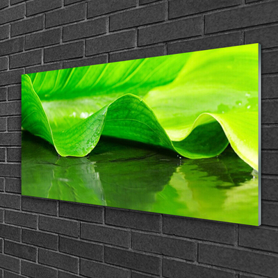Schilderij op acrylglas Plant blad nature
