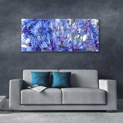 Schilderij op acrylglas Bloemen plant nature