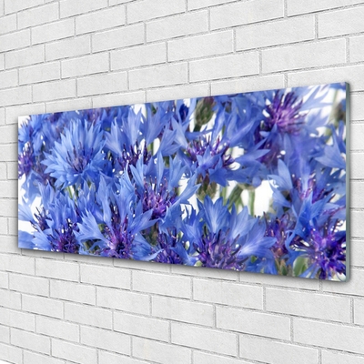 Schilderij op acrylglas Bloemen plant nature