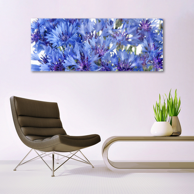 Schilderij op acrylglas Bloemen plant nature