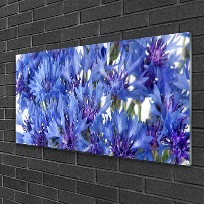 Schilderij op acrylglas Bloemen plant nature