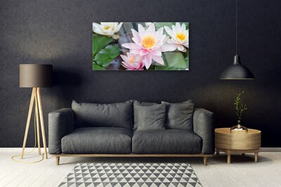 Schilderij op acrylglas Bloemen plant nature