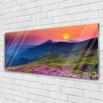 Schilderij op acrylglas Mountain meadow flowers landscape