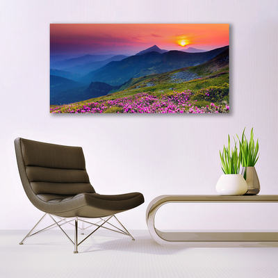 Schilderij op acrylglas Mountain meadow flowers landscape