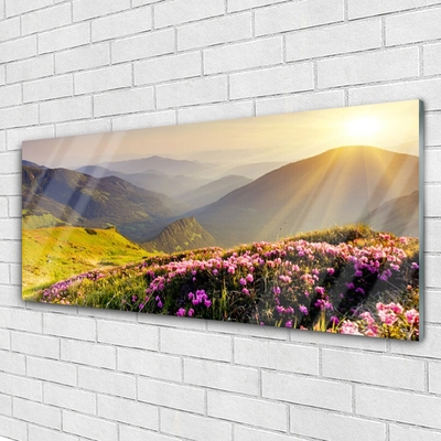 Schilderij op acrylglas Mountain meadow landscape