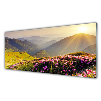 Schilderij op acrylglas Mountain meadow landscape