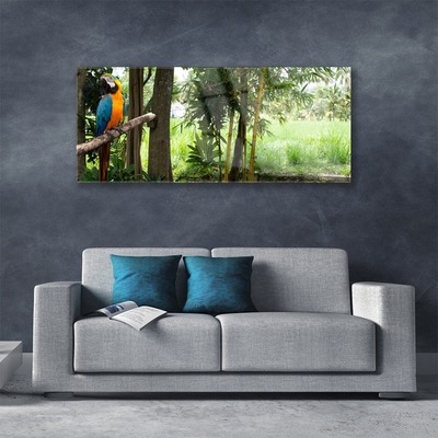 Schilderij op acrylglas Parrot tree nature