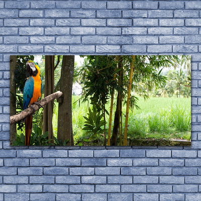 Schilderij op acrylglas Parrot tree nature