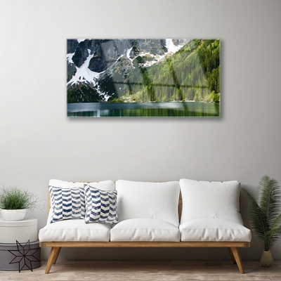 Schilderij op acrylglas Lake forest mountain landscape