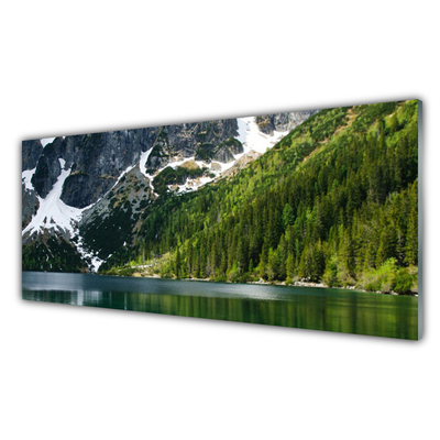 Schilderij op acrylglas Lake forest mountain landscape