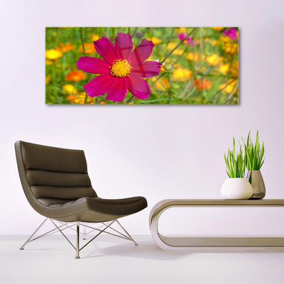 Schilderij op acrylglas Natuur bloem plant