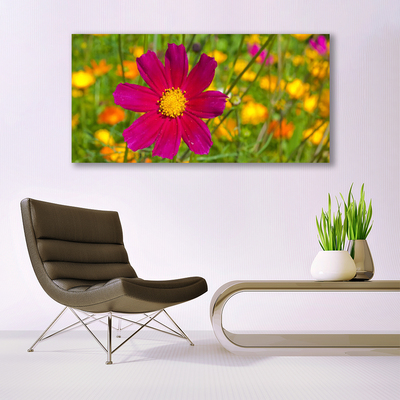 Schilderij op acrylglas Natuur bloem plant