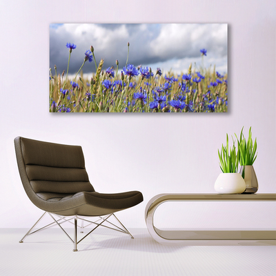 Schilderij op acrylglas Bloemen plant nature