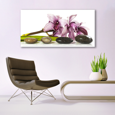 Schilderij op acrylglas Stenen bloem plant