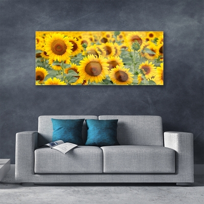 Schilderij op acrylglas Plant zonnebloemen natuur