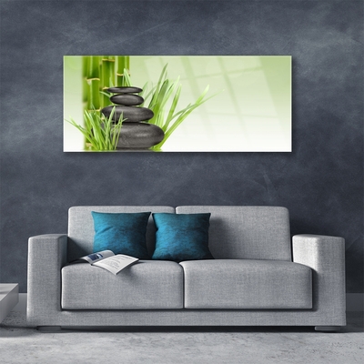 Schilderij op acrylglas Bamboo grass plant natuur