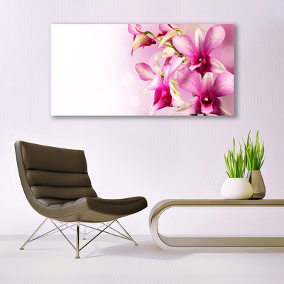 Schilderij op acrylglas Bloemen plant nature