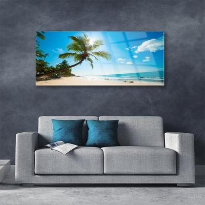 Schilderij op acrylglas Palm tree beach landschap