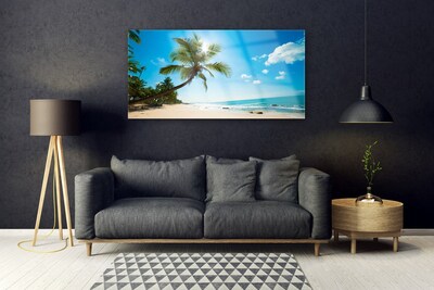 Schilderij op acrylglas Palm tree beach landschap