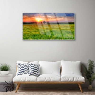 Schilderij op acrylglas Zon meadow nature