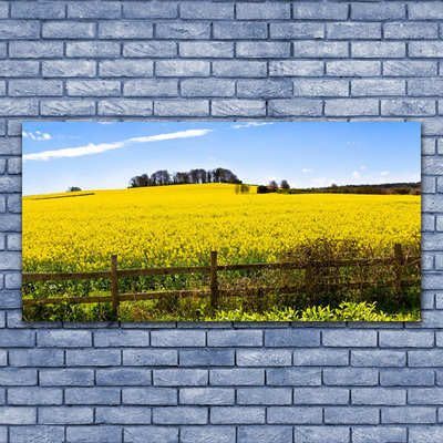 Schilderij op acrylglas Plant veld landschap