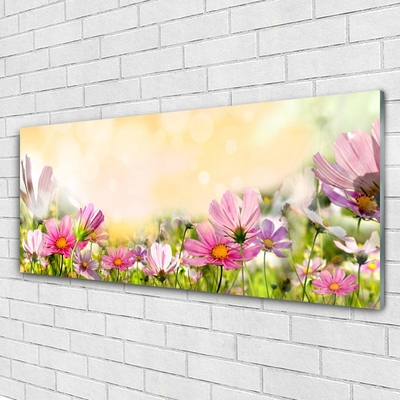 Schilderij op acrylglas Bloemen plant nature