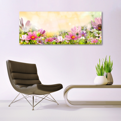 Schilderij op acrylglas Bloemen plant nature