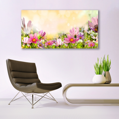 Schilderij op acrylglas Bloemen plant nature