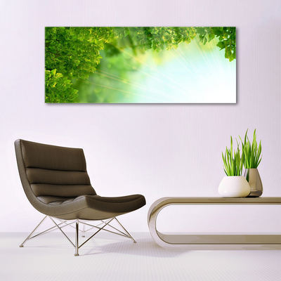 Schilderij op acrylglas Bladeren natuur plant