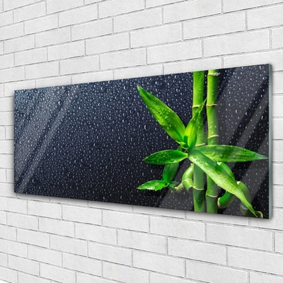 Schilderij op acrylglas Bamboo stengelplant nature