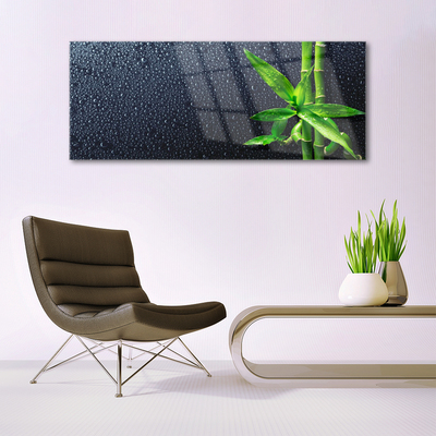 Schilderij op acrylglas Bamboo stengelplant nature