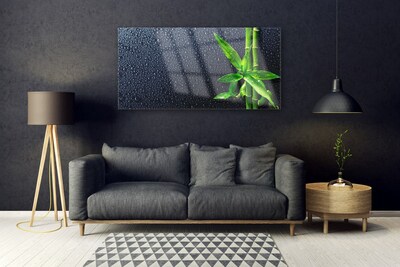 Schilderij op acrylglas Bamboo stengelplant nature