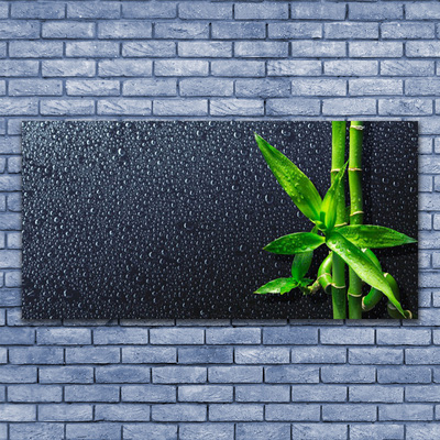 Schilderij op acrylglas Bamboo stengelplant nature