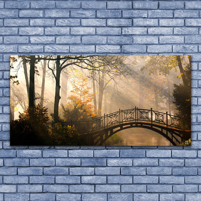 Schilderij op acrylglas Forest bridge architectuur