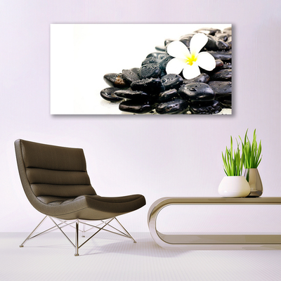 Schilderij op acrylglas Bloemen stones art