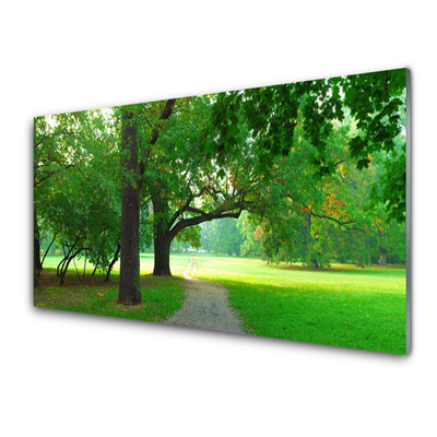 Schilderij op acrylglas Trees nature path