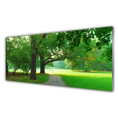 Schilderij op acrylglas Trees nature path