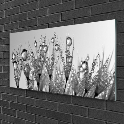 Schilderij op acrylglas Abstractie natuur plant