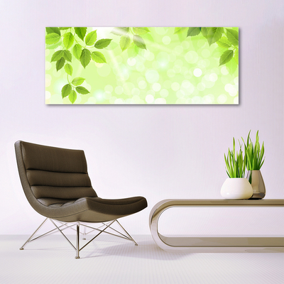 Schilderij op acrylglas Bladeren natuur plant