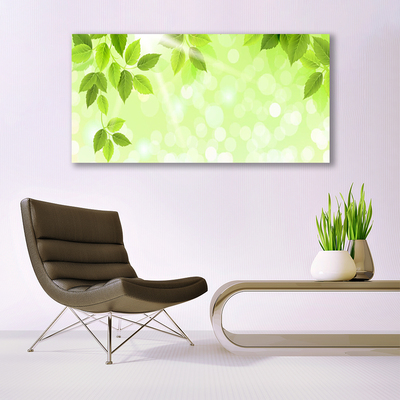 Schilderij op acrylglas Bladeren natuur plant