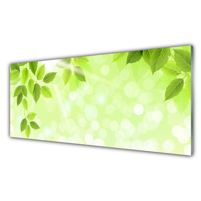 Schilderij op acrylglas Bladeren natuur plant